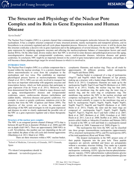 The Structure and Physiology of the Nuclear Pore Complex and Its Role in Gene Expression and Human Disease