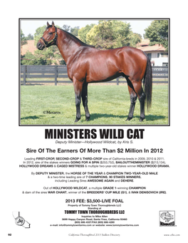 MINISTERS WILD CAT Deputy Minister—Hollywood Wildcat, by Kris S