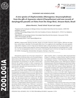 (Monogenea: Ancyrocephalinae) from the Gills of Argonectes Robertsi