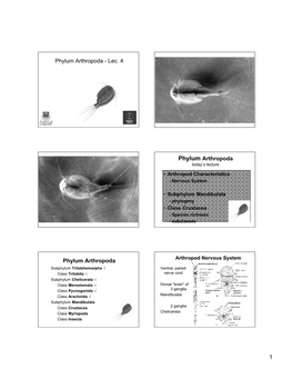 Phylum Arthropoda - Lec