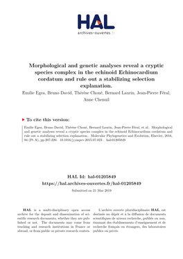 Morphological and Genetic Analyses Reveal a Cryptic Species Complex in the Echinoid Echinocardium Cordatum and Rule out a Stabilizing Selection Explanation