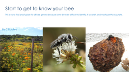 Laypersons Guide on Getting to Know Your Bees by Connal