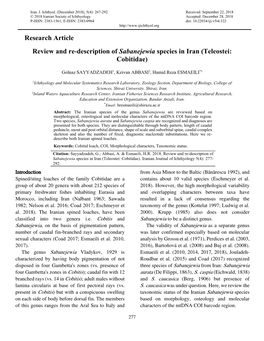 Research Article Review and Re-Description of Sabanejewia