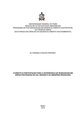 O Direito À Participação Para a Governança De Manguezais Em Áreas Protegidas Do Sul Indiano E Da Amazônia Brasileira