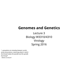 Genomes and Genetics Lecture 3 Biology W3310/4310 Virology Spring 2016