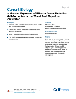 A Massive Expansion of Effector Genes Underlies Gall-Formation in the Wheat Pest Mayetiola Destructor