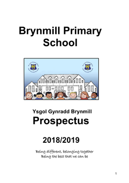 Brynmill Primary School