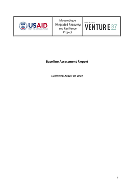 Baseline Assessment Report