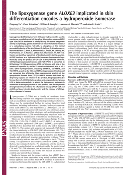 The Lipoxygenase Gene ALOXE3 Implicated in Skin Differentiation Encodes a Hydroperoxide Isomerase