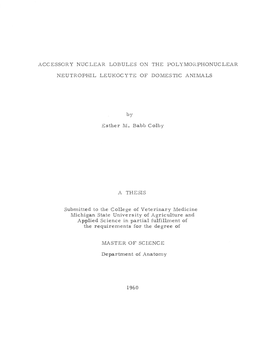 Accessory Nuclear Lobules on the Polymorphonuclear