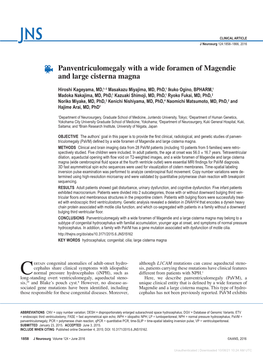 Panventriculomegaly with a Wide Foramen of Magendie and Large Cisterna Magna