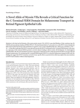 A Novel Allele of Myosin Viia Reveals a Critical Function for the C-Terminal FERM Domain for Melanosome Transport in Retinal Pigment Epithelial Cells