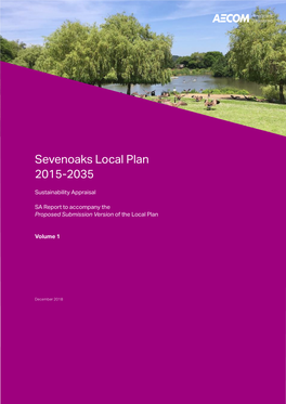 Report Sevenoaks Local Plan 2015-2035 2018-12-03