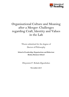 Organisational Culture and Meaning After a Merger: Challenges Regarding Craft, Identity and Values in the Lab