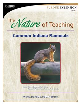 Common Indiana Mammals