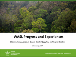 WASL Progress and Experiences