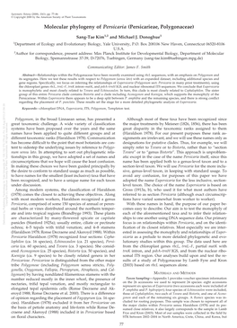 Molecular Phylogeny of Persicaria