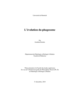 L'évolution Du Phagosome