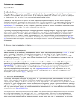 Octopus Nervous System