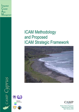 ICAM Methodology and Proposed ICAM Strategic Framework