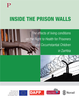 Inside the Prison Walls – the Effects Of