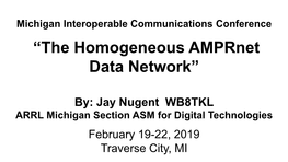 “The Homogeneous Amprnet Data Network”