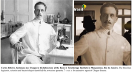 Carlos Chagas Wearing the Academic Gown of Professor of the Tropical Medicine Chair of the Rio De Janeiro Faculty of Medicine