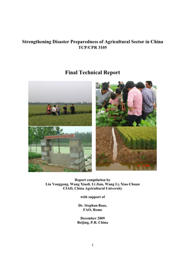 Final Technical Report