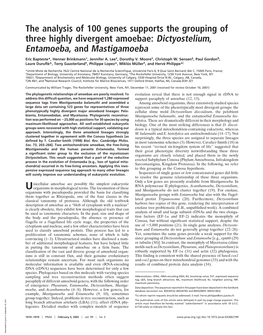 The Analysis of 100 Genes Supports the Grouping of Three Highly Divergent Amoebae: Dictyostelium, Entamoeba, and Mastigamoeba