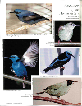 Aviculture of the Honeycreepers