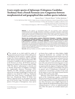 A New Cryptic Species of Aphaenops (Coleoptera: Carabidae: Trechinae)