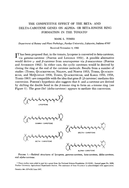 AND DELTA-CAROTENE GENES on ALPHA- OR BETA-IONONE RING FOR~~A~ONIN the TO~~Atol