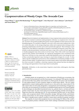 Cryopreservation of Woody Crops: the Avocado Case