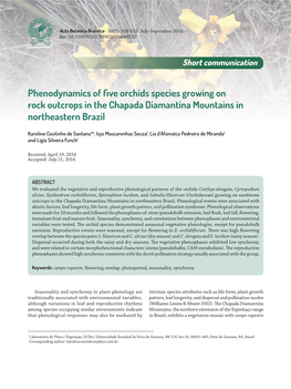 Phenodynamics of Five Orchids Species Growing on Rock Outcrops in the Chapada Diamantina Mountains in Northeastern Brazil