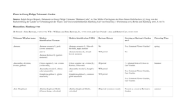 Plants of G. P. Telemann-With Bartram's Garden Notes