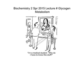 Biochemistry 2 Spr 2015 Lecture # Glycogen Metabolism