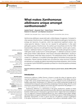 What Makes Xanthomonas Albilineans Unique Amongst Xanthomonads?