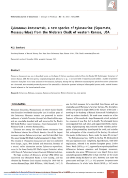 Tylosaurus Kansasensis, a New Species of Tylosaurine (Squamata, Mosasauridae) from the Niobrara Chalk of Western Kansas, USA