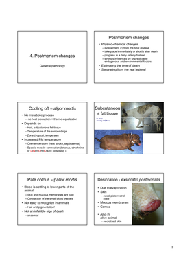 Pallor Mortis Desiccation - Exsiccatio Postmortalis