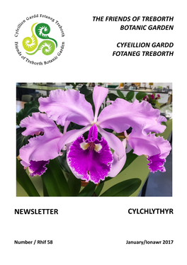 Newsletter Cylchlythyr