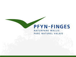 Naturpark Pfyn-Finges 1 Regional Parks in Europe the Swiss Example