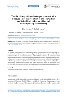 The Life History of Pseudometagea Schwarzii, with a Discussion of the Evolution of Endoparasitism and Koinobiosis in Eucharitidae and Perilampidae (Chalcidoidea)