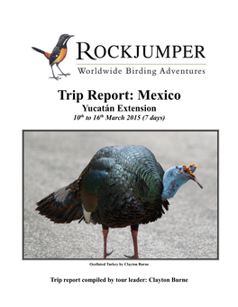 Trip Report: Mexico Yucatán Extension 10Th to 16Th March 2015 (7 Days)