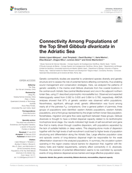 Connectivity Among Populations of the Top Shell Gibbula Divaricata in the Adriatic Sea