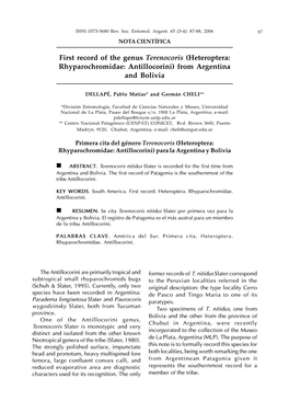 Heteroptera: Rhyparochromidae: Antillocorini) from Argentina and Bolivia