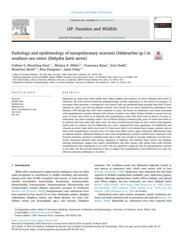 In Southern Sea Otters (Enhydra Lutris Nereis) T