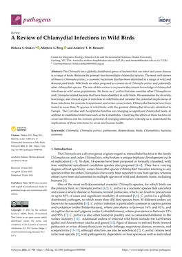 A Review of Chlamydial Infections in Wild Birds