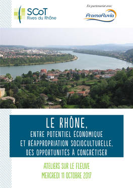 Le Rhône, Entre Potentiel Économique Et Réappropriation Socioculturelle, Des Opportunités À Concrétiser Ateliers Sur Le Fleuve Mercredi 11 Octobre 2017