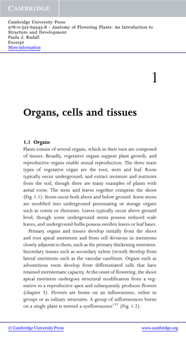 Organs, Cells and Tissues