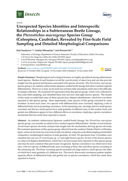 Coleoptera, Carabidae), Revealed by Fine-Scale Field Sampling and Detailed Morphological Comparisons